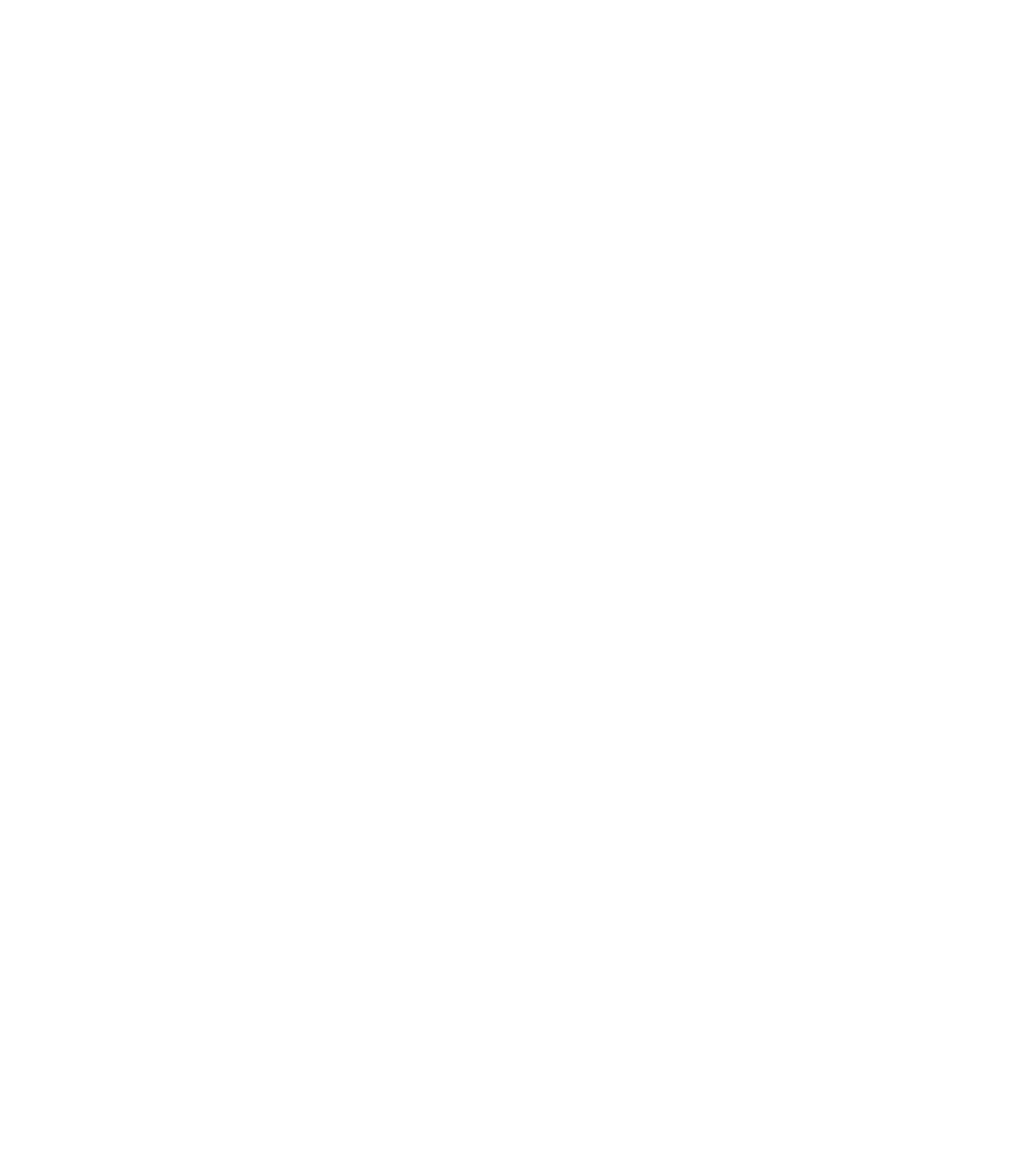 Logo NEXXUS RED